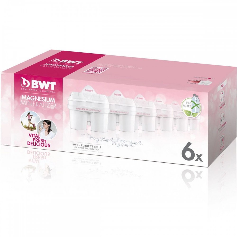 BWT Sürahi Su Arıtma Filtresi 6lı Kutu